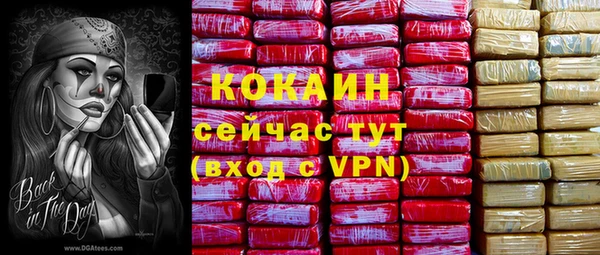 хмурый Рославль