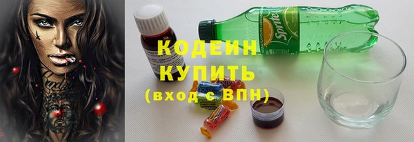 хмурый Рославль