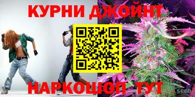 ALPHA PVP Гай