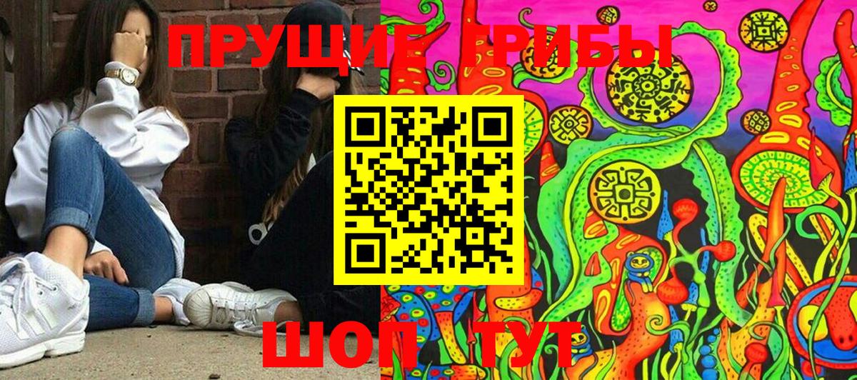 Галлюциногенные грибы Psilocybine cubensis Саянск