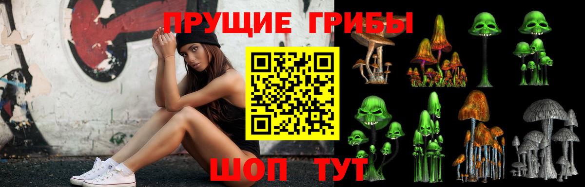 Саянск  Псилоцибиновые грибы Magic Shrooms  Псилоцибиновые грибы мицелий  Вход с VPN 